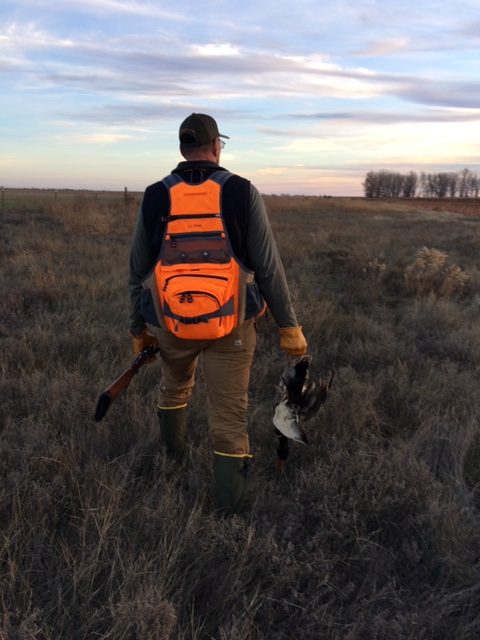 Hunter with his back facing the camera looks over the horizon while holding the victories of today's hunt
