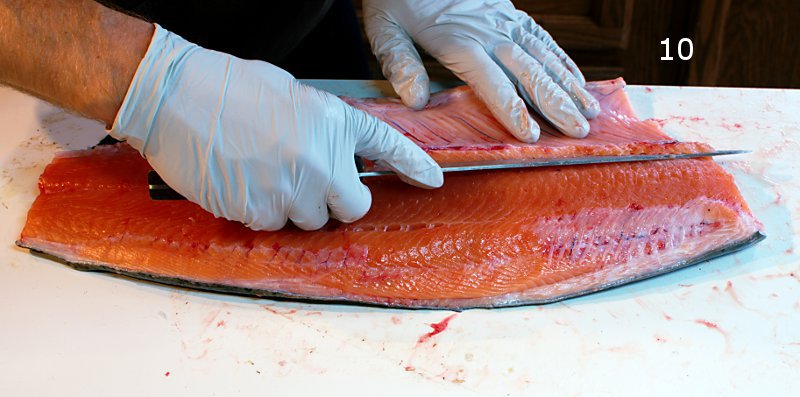 fillet-10